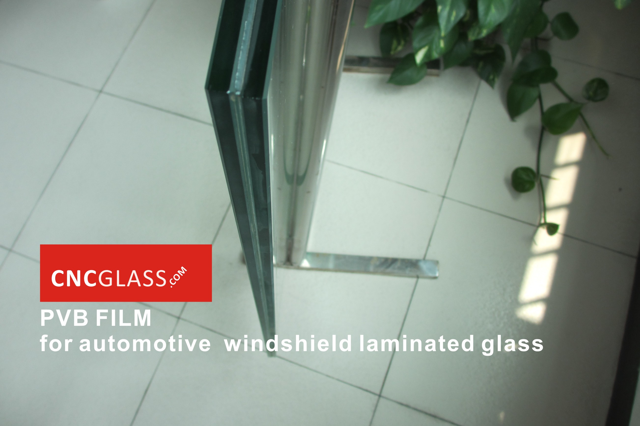 PVB FILM for automotive windshield laminated glass (4)